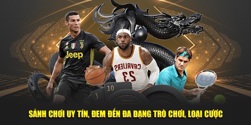 Sảnh chơi uy tín, đem đến đa dạng trò chơi, loại cược